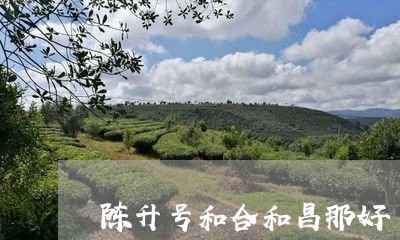 陈升号和合和昌那好/2023041718373