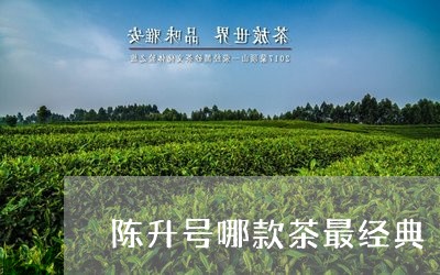 陈升号哪款茶最经典/2023041710705