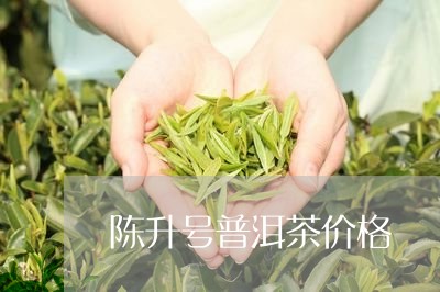 陈升号普洱茶价格/2023041426251