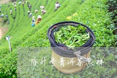 陈升号普洱茶怎样/2023031781594