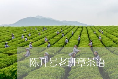 陈升号老班章茶语/2023032934948