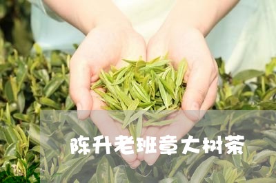 陈升老班章大树茶/2023032882815