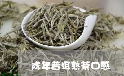 陈年普洱熟茶口感/2023032910595