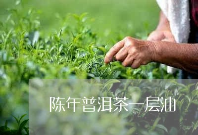 陈年普洱茶一层油/2023033198692