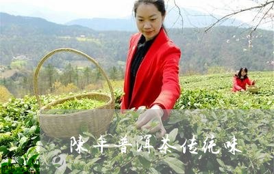 陈年普洱茶传统味/2023041062803