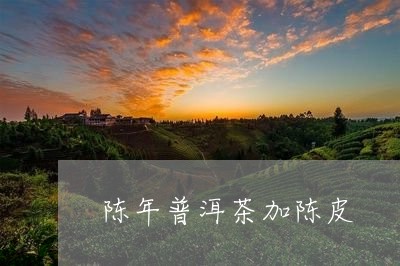 陈年普洱茶加陈皮/2023041049594