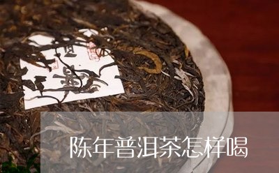 陈年普洱茶怎样喝/2023041001604