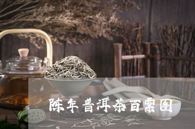 陈年普洱茶百票图/2023031849381