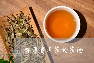 陈年普洱茶的茶汤/2023041415279