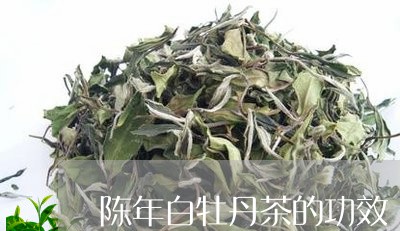 陈年白牡丹茶的功效/2023032155048