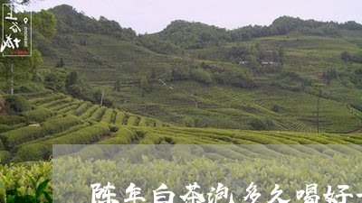 陈年白茶泡多久喝好一点/2023032916949