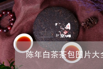 陈年白茶茶包图片大全集/2023032961592