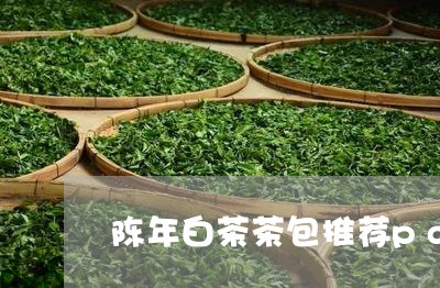 陈年白茶茶包推荐pdd/2023032967140