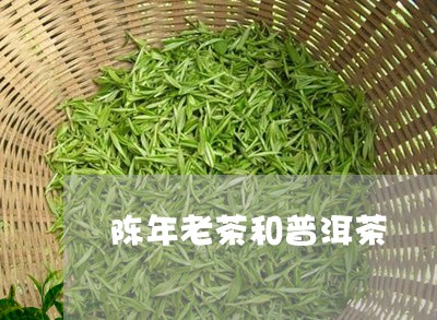 陈年老茶和普洱茶/2023031795960