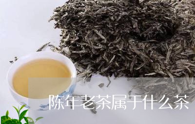 陈年老茶属于什么茶/2023032074937