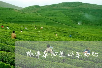 陈年茶垢是好东西吗/2023041626350