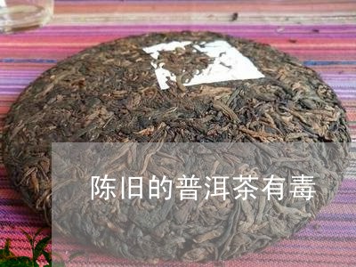 陈旧的普洱茶有毒/2023041296138