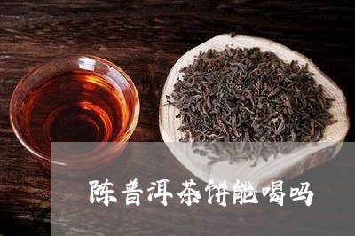 陈普洱茶饼能喝吗/2023033080726