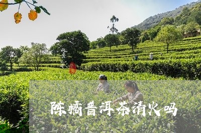 陈橘普洱茶清火吗/2023041385025