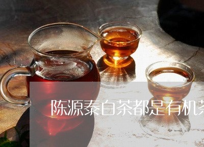 陈源泰白茶都是有机茶吗/2023032962693