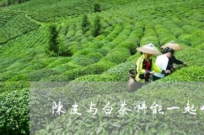 陈皮与白茶饼能一起喝吗/2023032902692