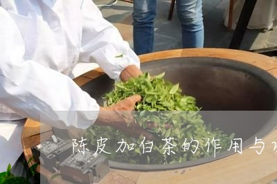 陈皮加白茶的作用与功效/2023032914147