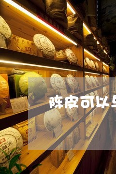 陈皮可以与白茶一起泡吗/2023032907196