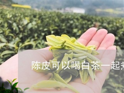 陈皮可以喝白茶一起煮吗/2023032977372