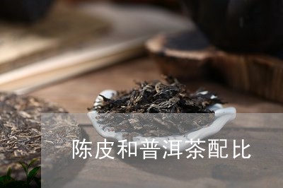 陈皮和普洱茶配比/2023041030601