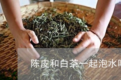 陈皮和白茶一起泡水喝吗/2023032928572