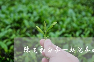 陈皮和白茶一起泡茶好吗/2023032962949