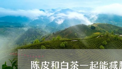 陈皮和白茶一起能减肥吗/2023032988483