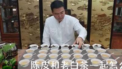 陈皮和老白茶一起怎么煮/2023032902715