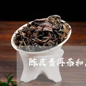 陈皮普洱茶和黑茶/2023041157583