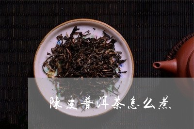 陈皮普洱茶怎么煮/2023041337283