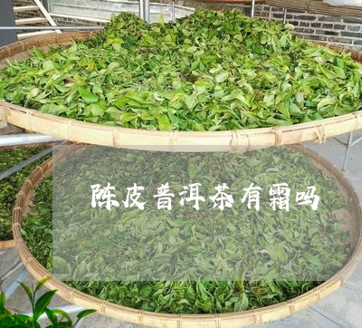 陈皮普洱茶有霜吗/2023040163936