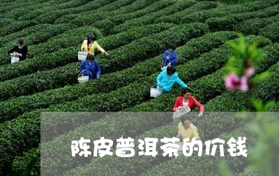 陈皮普洱茶的价钱/2023041317161