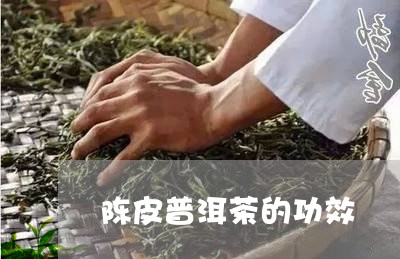 陈皮普洱茶的功效/2023031896059