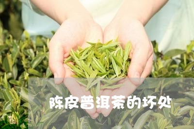 陈皮普洱茶的坏处/2023041234958