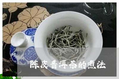 陈皮普洱茶的煮法/2023041088593