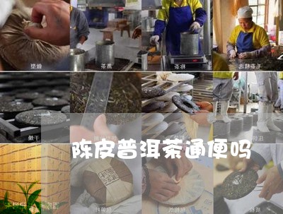 陈皮普洱茶通便吗/2023040997372