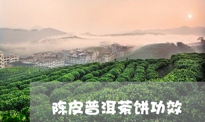 陈皮普洱茶饼功效/2023040972683