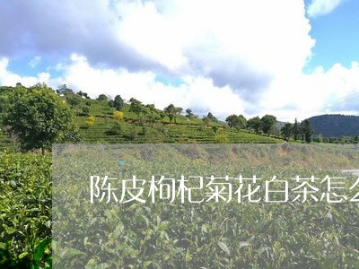 陈皮枸杞菊花白茶怎么泡/2023032948394