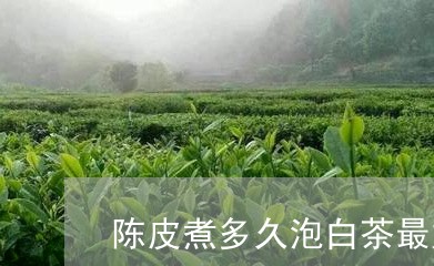 陈皮煮多久泡白茶最好泡/2023033092703