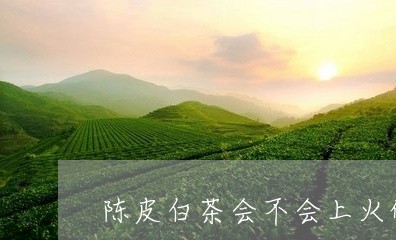 陈皮白茶会不会上火的呀/2023032980403