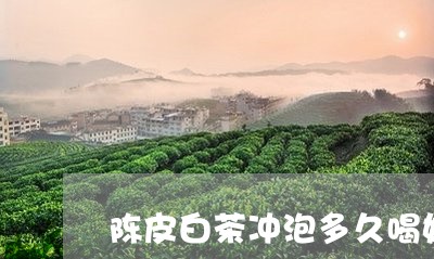 陈皮白茶冲泡多久喝好呢/2023032913726