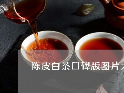 陈皮白茶口碑版图片大全/2023032992525