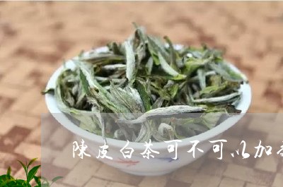 陈皮白茶可不可以加菊花/2023032928473