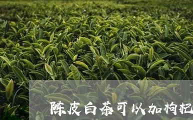 陈皮白茶可以加枸杞红枣/2023032953827