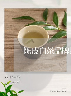 陈皮白茶品牌推荐夏季喝/2023032938370